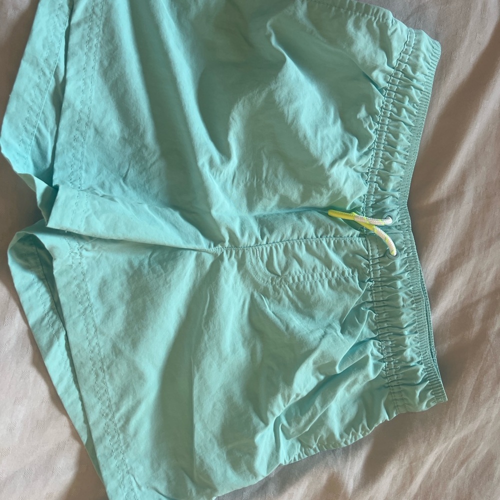 Art Class Boys Mint Green Swim Trunks (Size L 10/12)